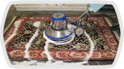carpet-cleaners