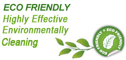 healthy cleaning solutions