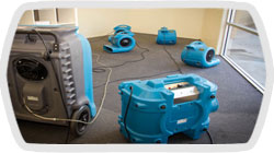 carpet-cleaners